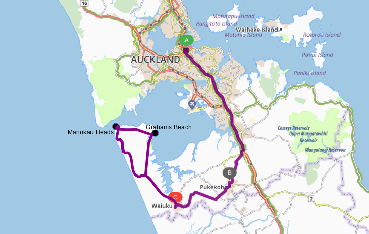 auckland_manukau-heads_grahams-beach.png